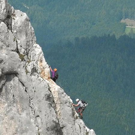 Das Grasberghaus Zewnętrze zdjęcie