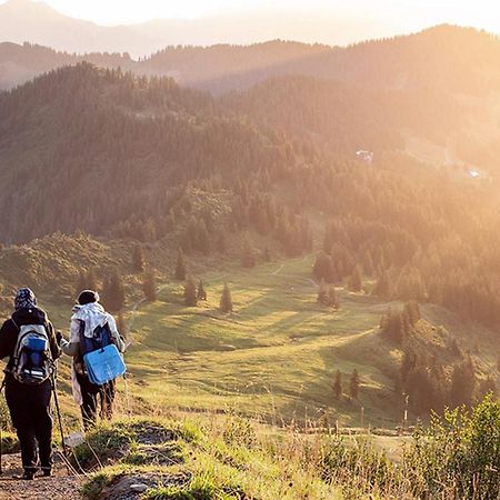 Das Grasberghaus Zewnętrze zdjęcie