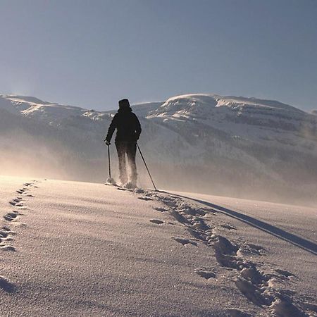 Das Grasberghaus Zewnętrze zdjęcie